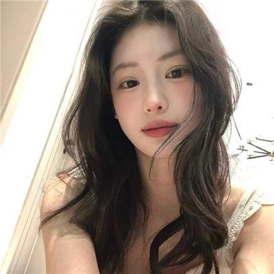海豚的故事2
